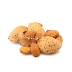 Organic Raw Badam Almonds Fresh Kernel Nuts with Rich Nutrition for Food Use