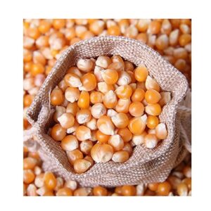 100% Natural Best Dried Yellow Sweet Corn Maize Seeds Wholesale Price Bulk Order with Customized Packing OEM Available