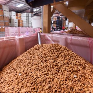 Premium Organic Almond Nuts High Quality Bulk Wholesale Competitively Price in Shell Dried and Baked/Raw for Food Use
