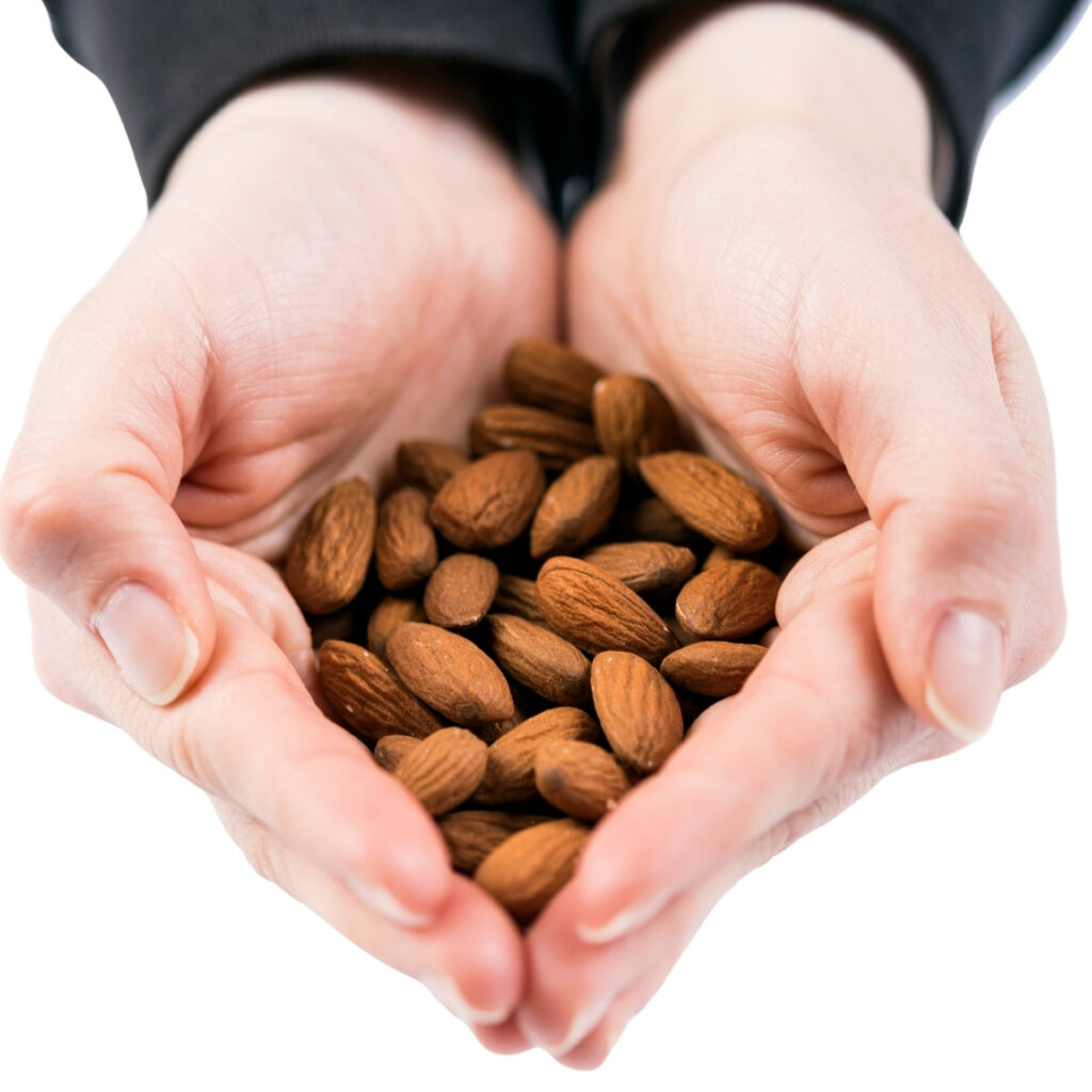 Wholesale Organic Premium Quality Sweet Almond Kernel Nuts Dry Fruits Rich in Crude Fat Protein Vacuum Packed 2 Year Shelf Life