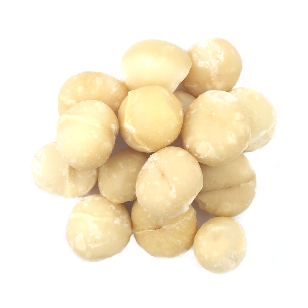 Dried Macadamia Nuts Blanched High-class AAA Grade HACCP Certified Export From Thailand