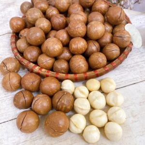 100% Natural Macadamia Nuts Roasted Raw Cracked Dried Size >25mm Healthy Snack in Shell Nutritious Food in Vacuum Bags/Cans