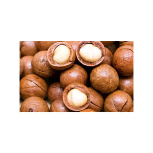 Best Quality Macadamia Nuts Delicious Dried Without Shell for Food Use