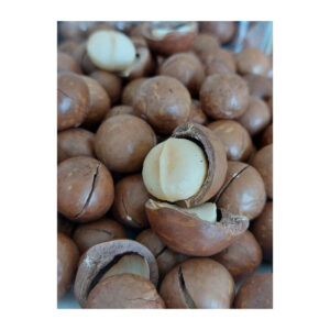 Best Price Macadamia Without Shell Roasted Double Halves With Medium Size VietNam Manufacturing Wholesale Grade a Macca Nuts