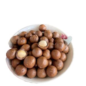 High Quality Macadamia Nuts - Wholesale Roasted Macadamia Nuts - Macadamia Nuts with Best Prices