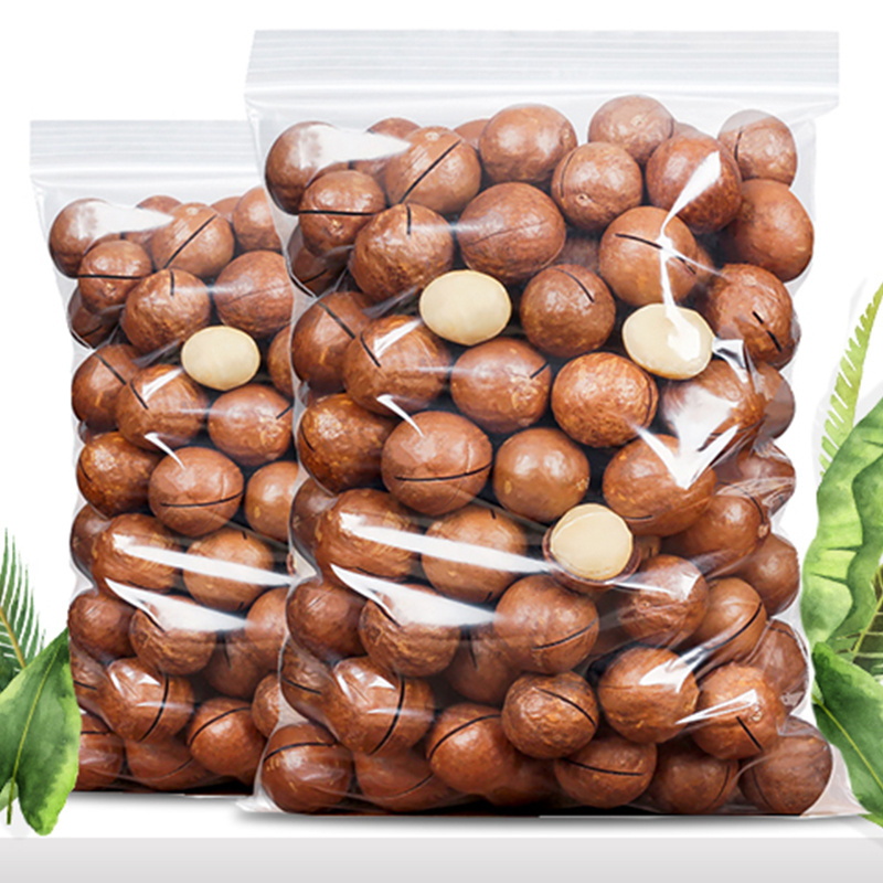 500g Shelled Dried GMO Macadamia Nuts Rich Nutrition Wholesale Prices