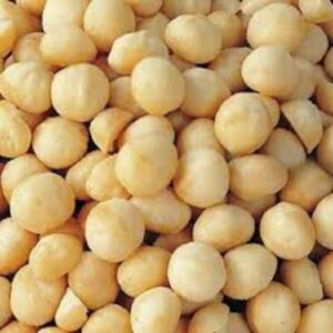 High Quality Premium Organic Raw Dried Macadamia Nuts From South Africa for Sale