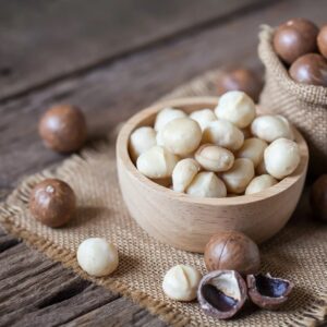 Premium Organic Macadamia Nuts in Shell Raw Bulk Supplier | High Quality Natural Macadamias Wholesale for Export & Retail