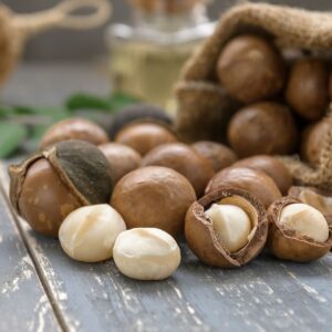 Natural Macadamia Nut in Bulk Packaging Dried Macadamia Nut Top Quality for Healthy Snack Wholesale Supply