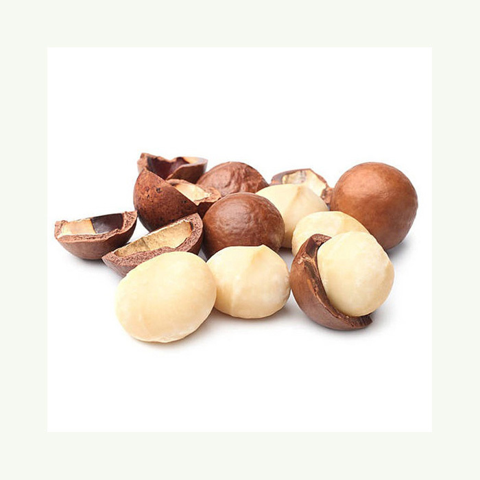 Organic Macadamia Nuts in Shell Healthy Food Macadamia Powder-Raw Salted Roasted Dried Macadamia Nuts