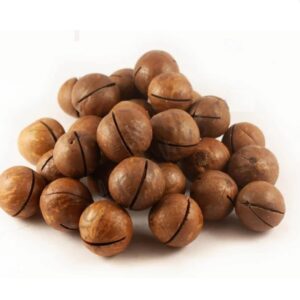 Wholesale 500g Raw & Roasted Macadamia Nuts Premium Macadamia Kernels