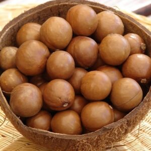Wholesale 100% Pure Grade a Dried Macadamia Nuts in Raw Style for Snacks