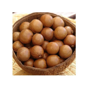 High Quality Organic Raw Vietnam Macadamia Nuts Size M Dried Kernel Bulk Snack Food Healthy Export OEM Factory Supply