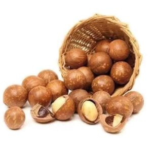 High Quality Roasted Macadamia Nuts Organic Loose Kernel with Premium Grade Shell Wholesome Raw Dried Nuts at Premium Price