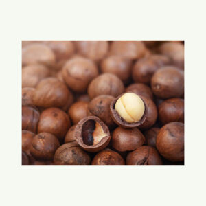 Best Quality Macadamia Nuts Food Grade Dried and Raw Customizable and Affordable