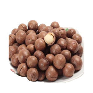 Premium Macadamia nuts bulk supply wholesale fast delivery top grade