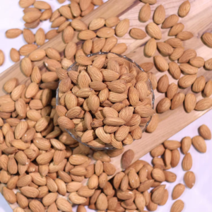 Organic Raw Sweet Almond Nuts Super Hot Selling Fresh Dried Food Snack Bulk Packaging Available Grade 1 25kg pp Bag