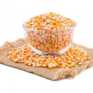 Yellow Maize and White Corn Dried Popcorn From Germany with 2-Year Shelf Life Cool Dry Storage for Premium Snacks
