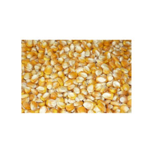 Bulk Fresh Glutinous Sweet Corn Yellow Kernels 24 Months Shelf Life Storage Packing 100% Mature 25kg Austria Origin
