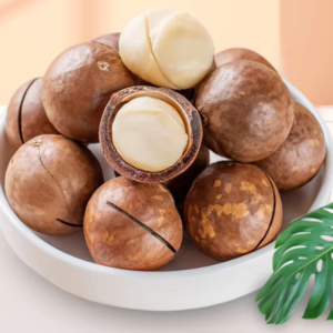 High Quality Macadamia Nuts Wholesale in Bulk with Shell Supplier