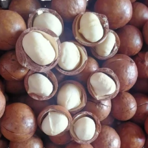 Macadamia Nuts Organic Natural Healthy Kernels Food