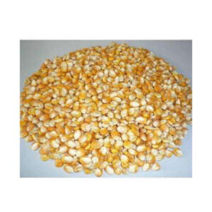 Yellow Corn/Maize for Animal Feed / YELLOW CORN for POULTRY FEED Wholesale Price Yellow Corn High Quality Yellow Maize Corn for
