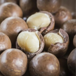 Fine Quality Macadamia Nuts | Shell-on and Shelled | Bulk Offer