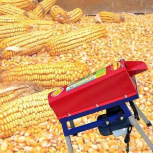 Premium Yellow Maize Corn Grain Cleaned Dried and Packed for Export