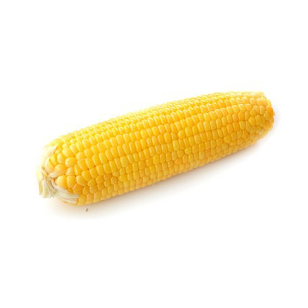 wholesale Yellow Corn/ yellow corn for human consumption non gmo yellow corn/ yellow corn Wholesale Sale buyer Import