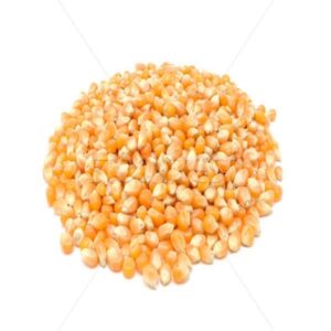 Best Quality Organic Non-Glutinous Dried Yellow Corn Grain Feed at Low Cost Wholesale USA Origin 25/50 Kg PP Bags