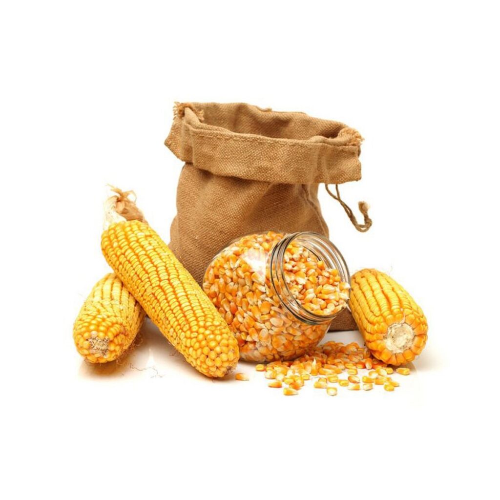 New Crop Organic Non-GMO Top Grade Dried Yellow Corn Maize for Human Consumption