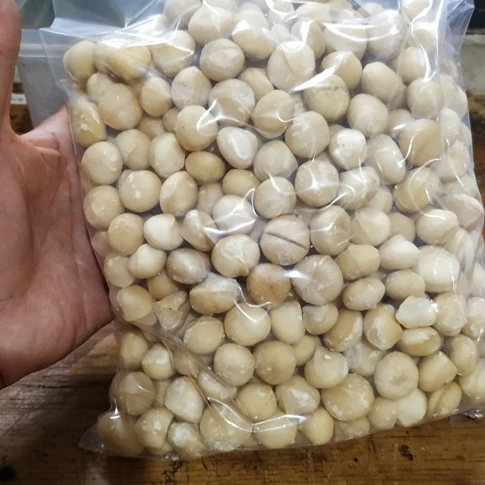 High-Quality Organic Raw Macadamia Nuts - Image 2