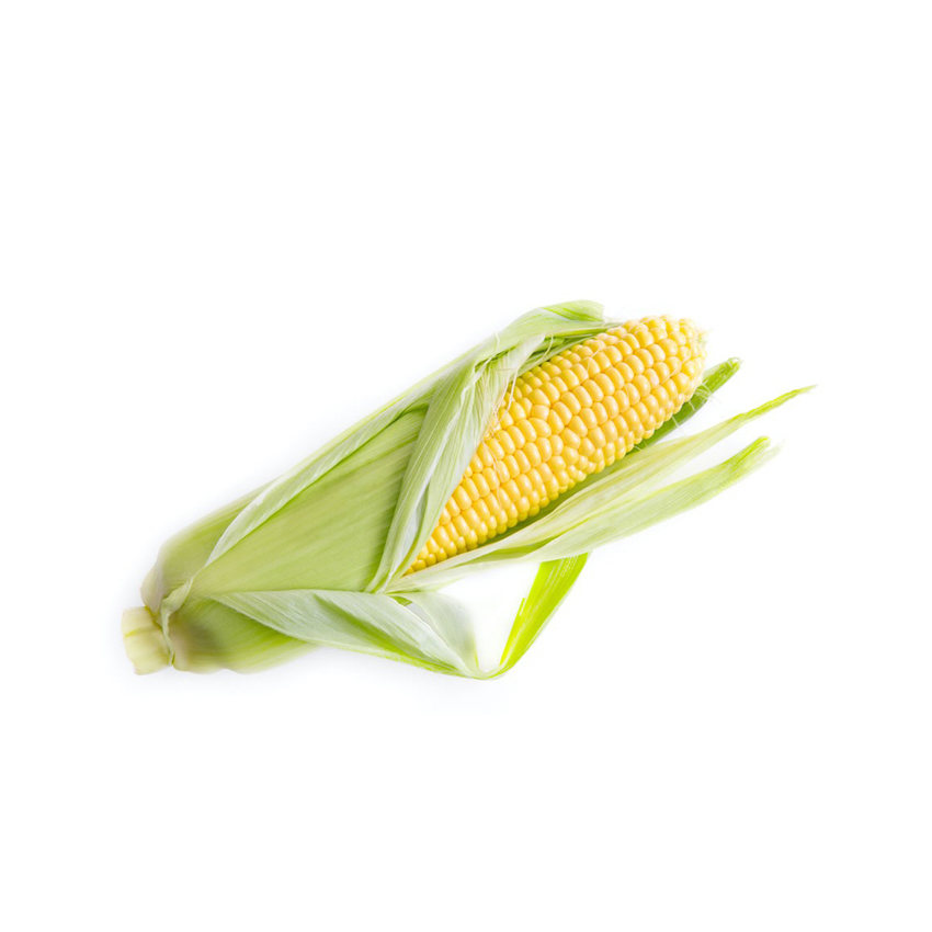 Farm Grade Dried Non-GMO Yellow Maize From Brazil for Sustainable Agriculture and Feed Markets - Image 2