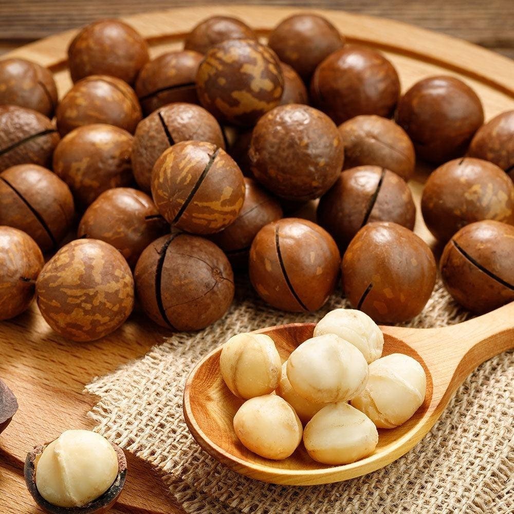 Natural Macadamia Nut in Bulk Packaging Dried Macadamia Nut Top Quality for Healthy Snack Wholesale Supply - Image 3