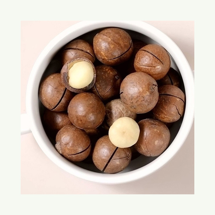 Organic Macadamia Nuts in Shell Healthy Food Macadamia Powder-Raw Salted Roasted Dried Macadamia Nuts - Image 3