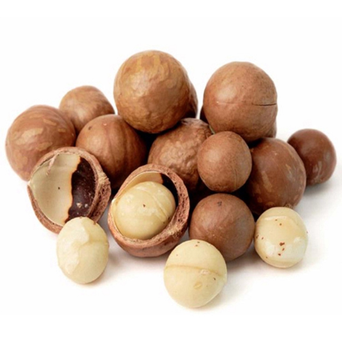 Austria a Grade Organic Macadamia Nuts Roasted and Dried White and Black 15-20kg Raw Macadamia Nut Bag Packaging for Food Use - Image 3