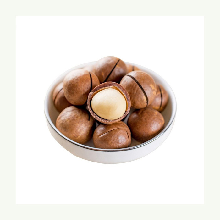 Organic Macadamia Nuts in Shell Healthy Food Macadamia Powder-Raw Salted Roasted Dried Macadamia Nuts - Image 4
