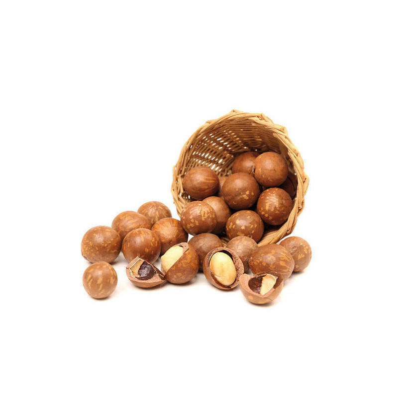 500g Shelled Dried GMO Macadamia Nuts Rich Nutrition Wholesale Prices - Image 5