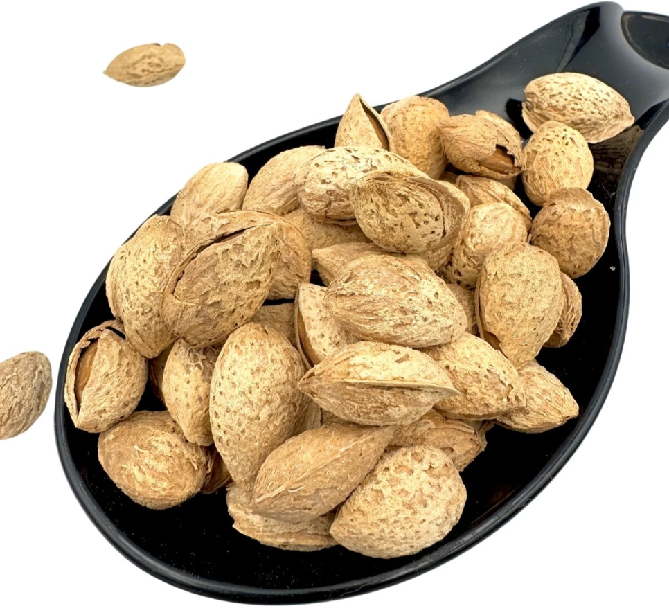 Wholesale Usa Raw Dry Fruits Almond Nuts in Bulk California Almonds - Image 3