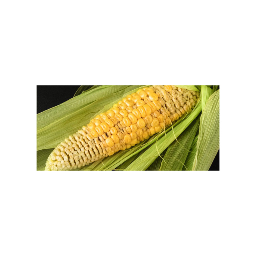 Farm Grade Dried Non-GMO Yellow Maize From Brazil for Sustainable Agriculture and Feed Markets - Image 6