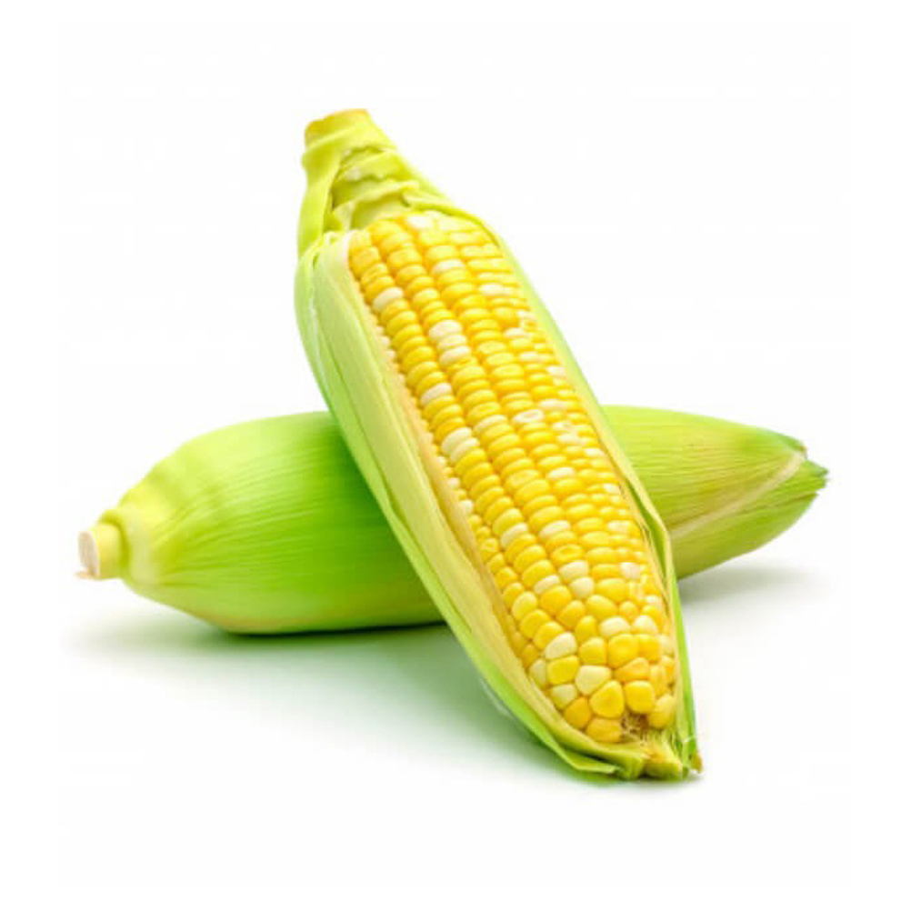wholesale Yellow Corn/ yellow corn for human consumption non gmo yellow corn/ yellow corn Wholesale Sale buyer Import - Image 6