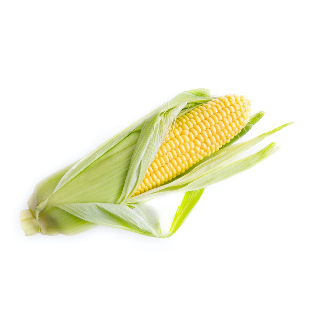 New Crop Brazilian Bulk Yellow Corn Maize Dried Yellow Corn for Human Animal Poultry Feed Grade a for Consumption - Image 6