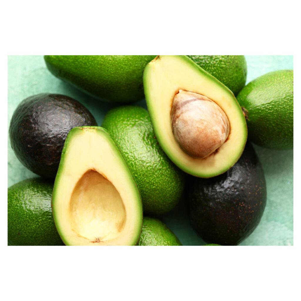 Fresh Hass Organic Avocado for Export with the Best Price Standard High for Sale