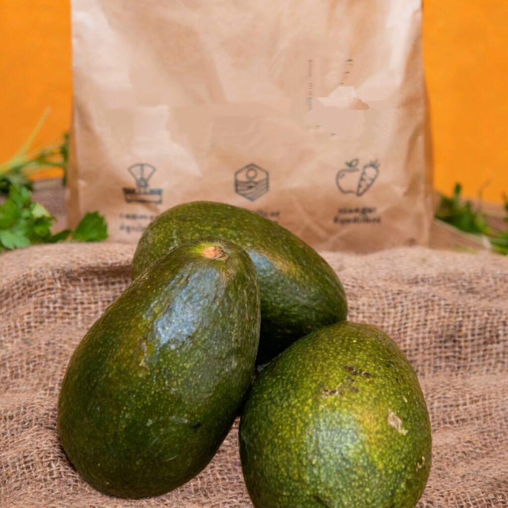 Bulk Fresh Avocados Natural Organic Non-GMO Smooth Texture Healthy Fruit for Supermarkets & Cafes