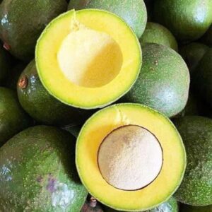 High Quality Large Quantity Fresh Avocados 100% Tax Free Direct Factory Price From Vietnam