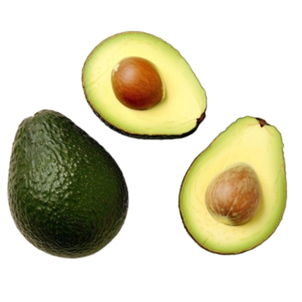 Export Quality Fresh Avocado Natural Organic Fruit with Soft Buttery Flesh, Perfect for Culinary, Dessert, and Health Products