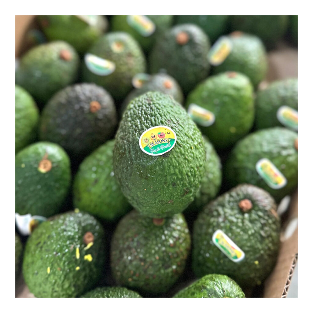 Premium Quality Organic Avocados, 17cm CA Naturally Grown for Salads and Toasts