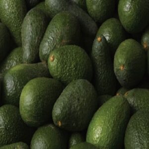 FRESH AVOCADO HASS and FUERTE,Fresh Furte & Hass Avocados FRESH AVOCADO