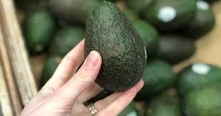 Fresh Avocado - Image 2
