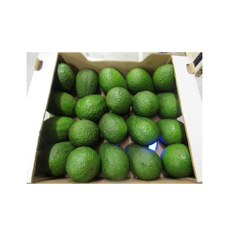 Organic Hass Avocado Best Quality Natural Fresh Produce for Sale Certified Organic Cultivation - Image 2